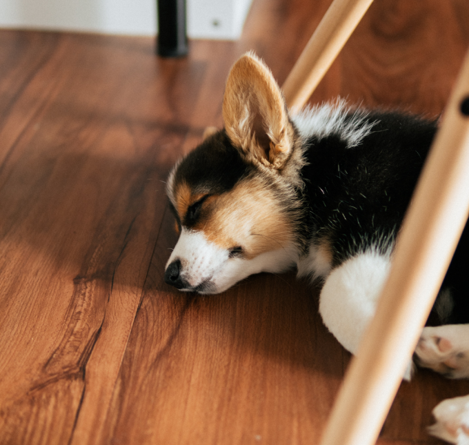 brandon-cormier-py3aLxd38DE-unsplash